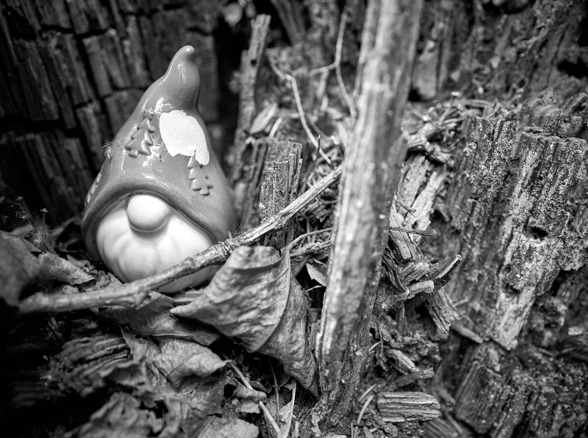 Gnome Hunting in Maple Valley